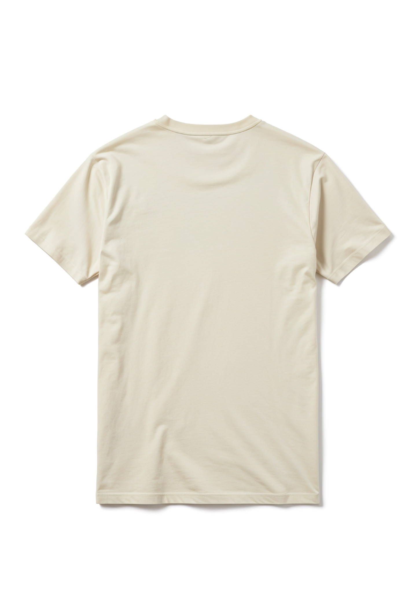 Botanical Graphic T-Shirt – French Floral Tee for Men
